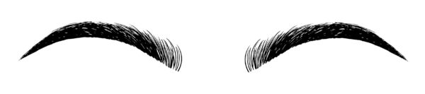 Eyebrows curved discount