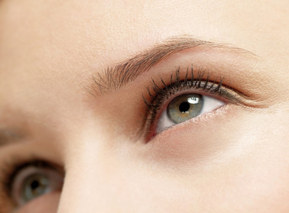 Close-up of a natural, fully grown-in eyebrow — the goal of growing out over-plucked brows